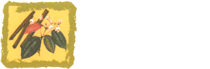 Logo Fleur de Cannelle